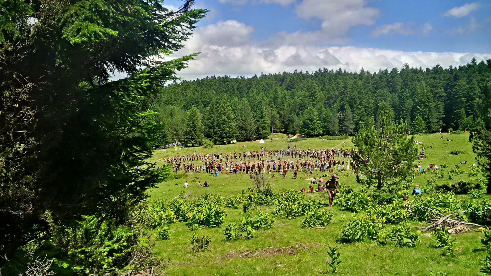 Home, sweet home. This is how the main meadow in the pyrenees looked like